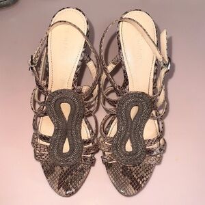 Calvin Klein Python Platform Heels Tan Black Statement Pumps 8.5